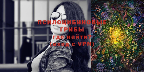дурь Арсеньев