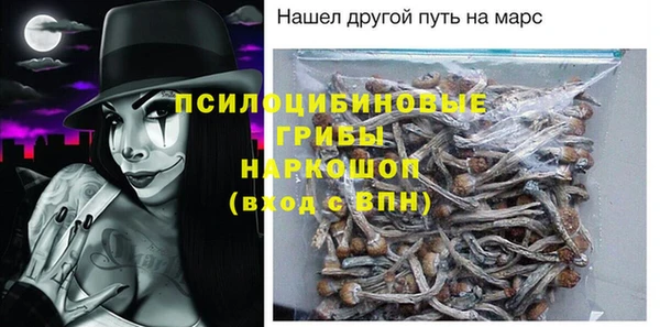 дурь Арсеньев