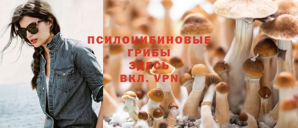 стаф Армянск