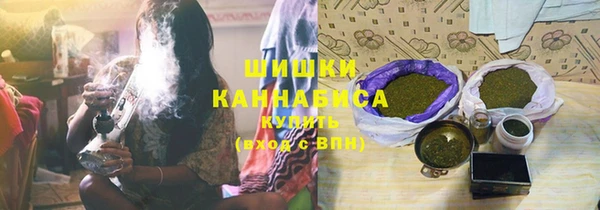 дурь Алзамай